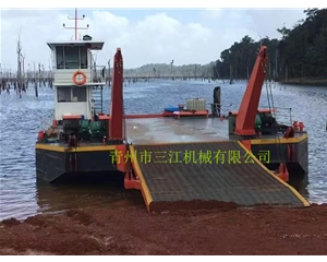 加蓬共和國客戶(hù)定制的擺渡船